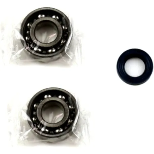 Crankshaft bearing kit P400480444002