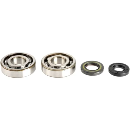 Crankshaft bearing kit P400250444256