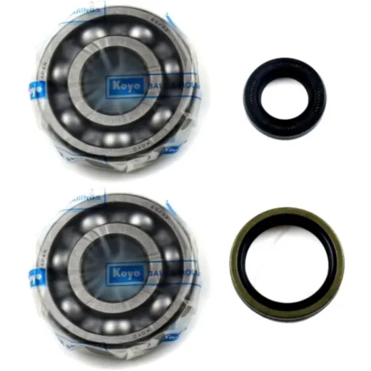 Crankshaft bearing kit P400510444002