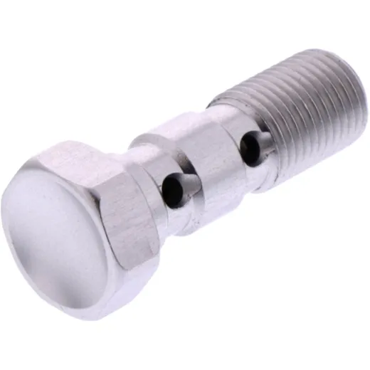 Banjo bolt double m10x1.00 silver