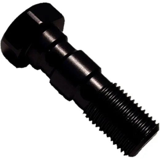 Banjo bolt double m10x1.00 black