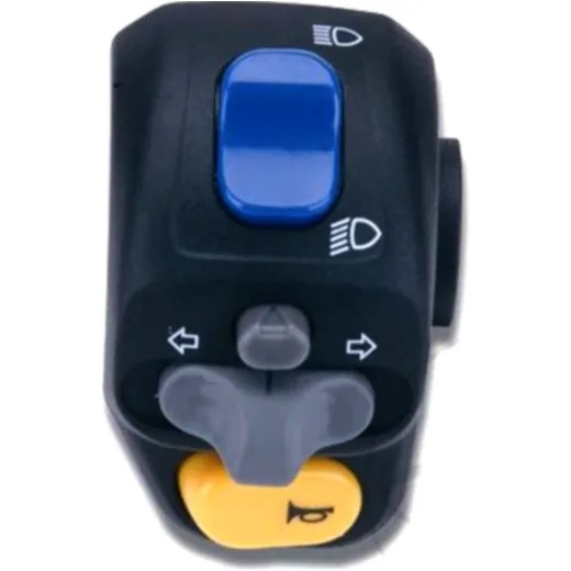 Multi function switch