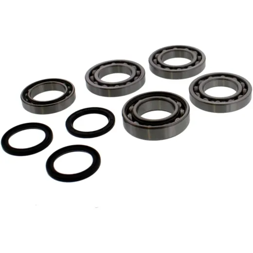 Differential repair kit 252077