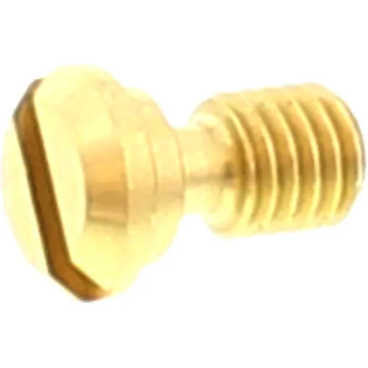 Breather screw for forks