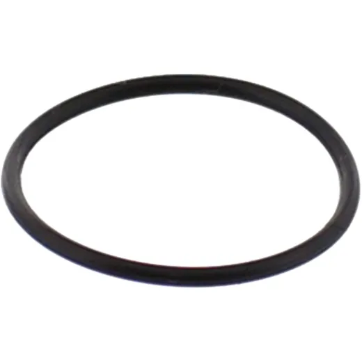 Compression o-ring