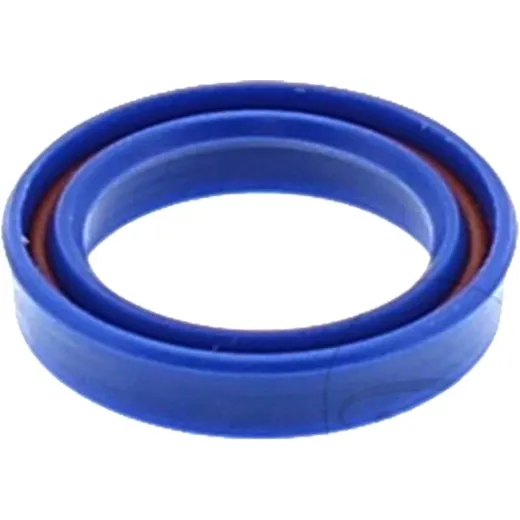 Shaft Seal CARTR BACK UP 110210000401