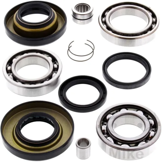 Differential Reparatursatz hinten All Balls Racing 252012