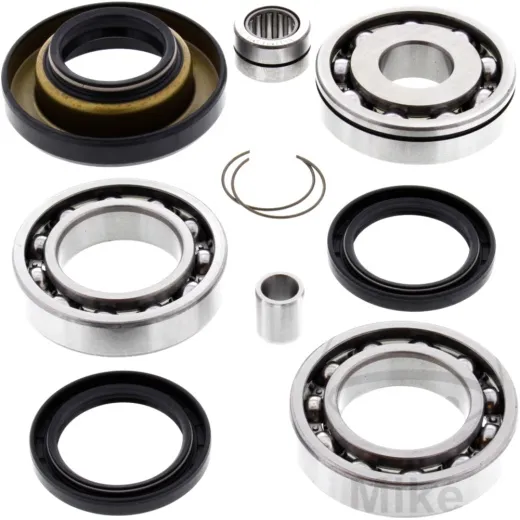 Diff repair kit rear all balls racing 252013