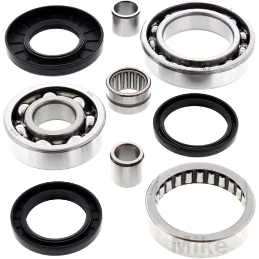 Diff repair kit rear all balls racing 252021