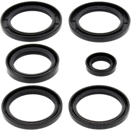 Diff repair kit rear all balls racing 2520625