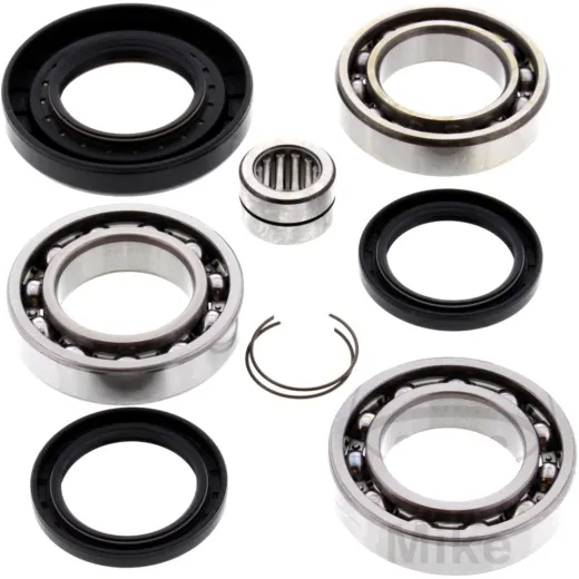 Diff repair kit rear all balls racing 252079