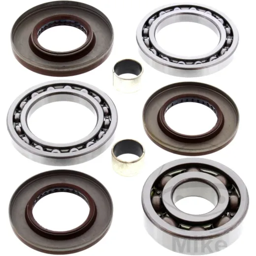 Diff repair kit rear all balls racing 252081
