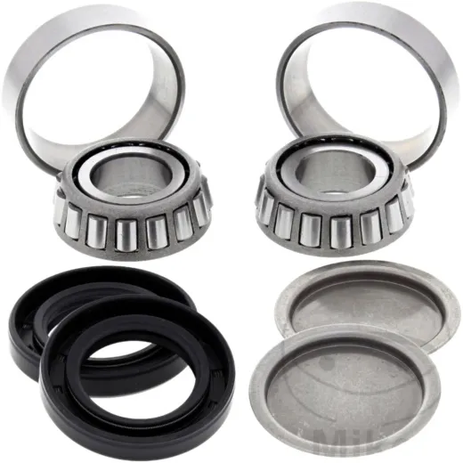 Swingarm bearing repair kit all balls racing 281155