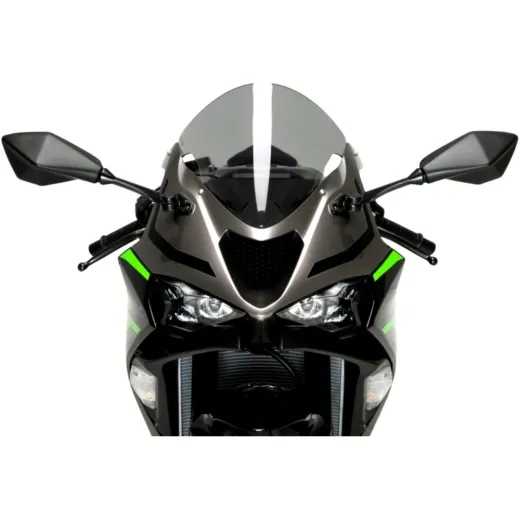 Scheibe R-Racing Puig rauchgrau 1303894