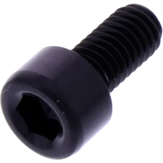 Hex socket cap screw probolt LPB510BK