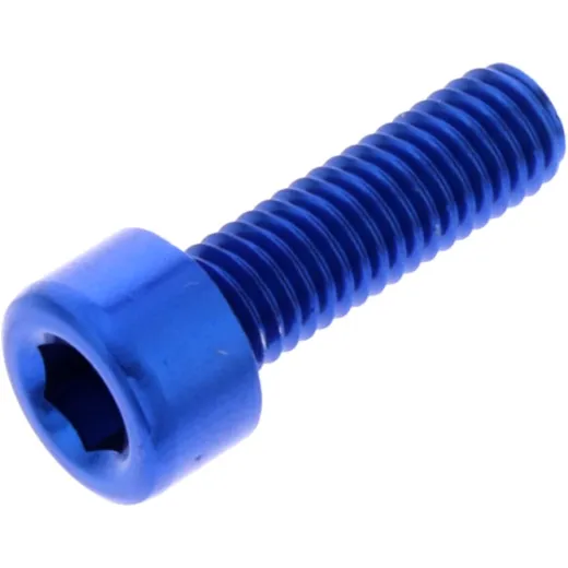 Hex socket cap screw probolt