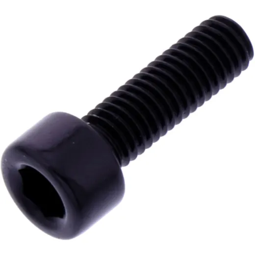 Hex socket cap screw probolt LPB516BK