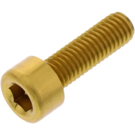 Hex socket cap screw probolt LPB516G