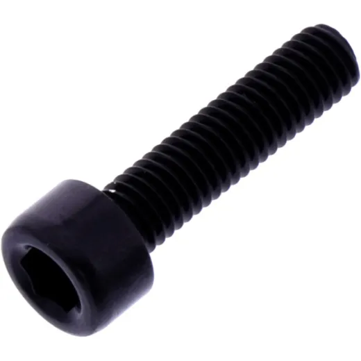 Hex socket cap screw probolt LPB520BK