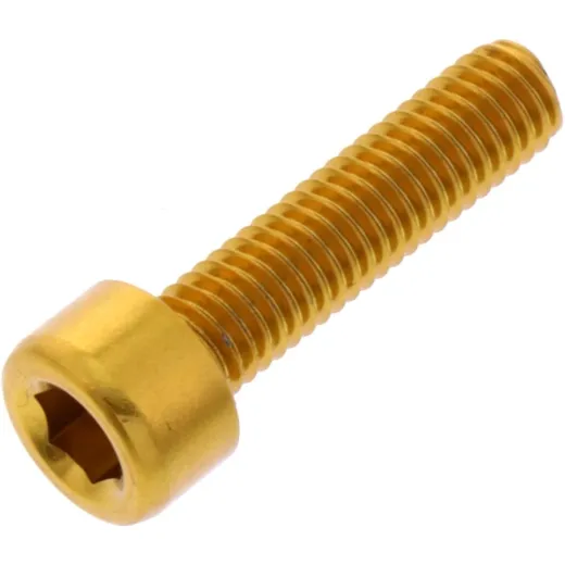Hex socket cap screw probolt LPB520G