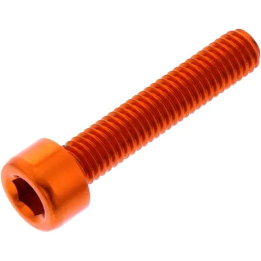 Hex socket cap screw probolt LPB525O