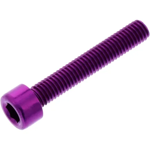 Hex socket cap screw probolt LPB530P