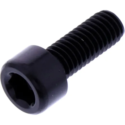 Hex socket cap screw probolt LPB616BK