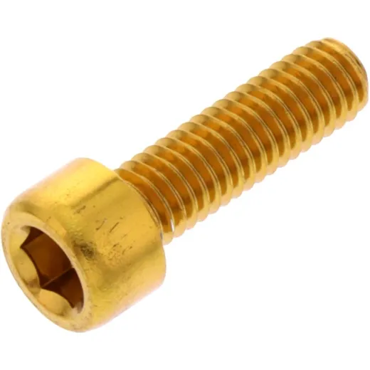 Hex socket cap screw probolt LPB620G