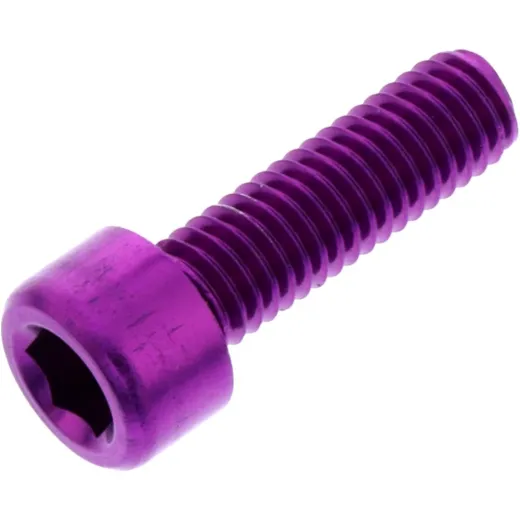 Hex socket cap screw probolt LPB620P