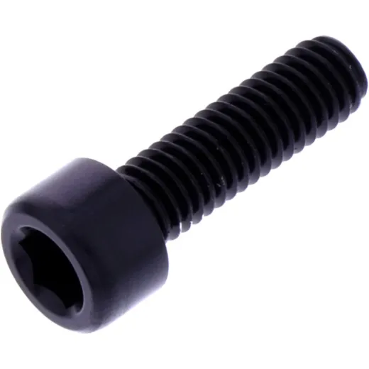 Hex socket cap screw probolt LPB625BK