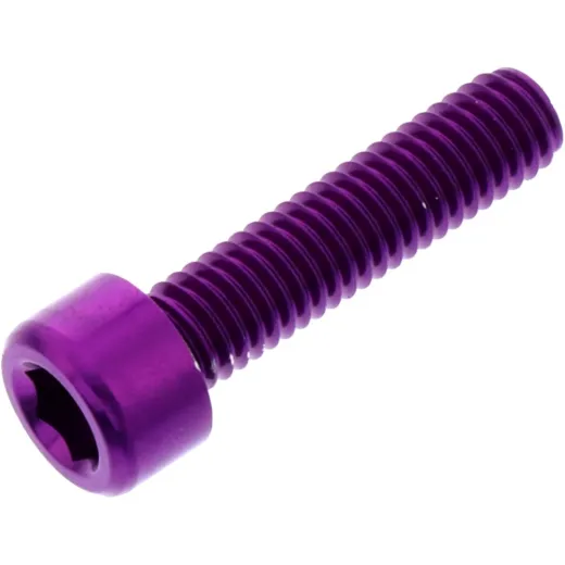 Hex socket cap screw probolt LPB625P