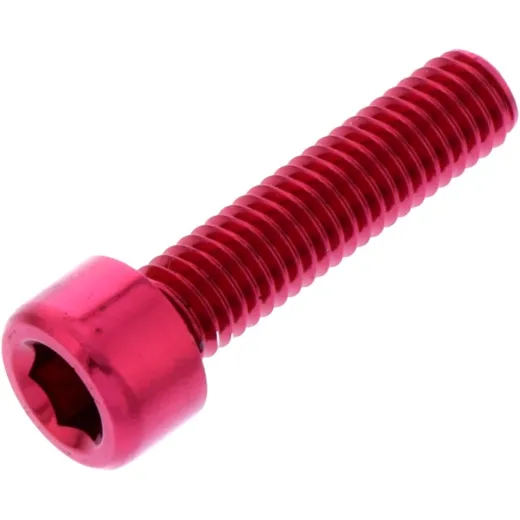 Hex socket cap screw probolt LPB625R