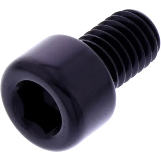Hex socket cap screw probolt LPB812BK