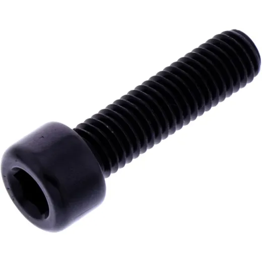 Hex socket cap screw probolt LPB830BK