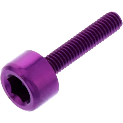 Hex socket cap screw probolt LH420P