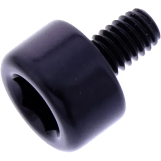 Hex socket cap screw probolt LH465BK
