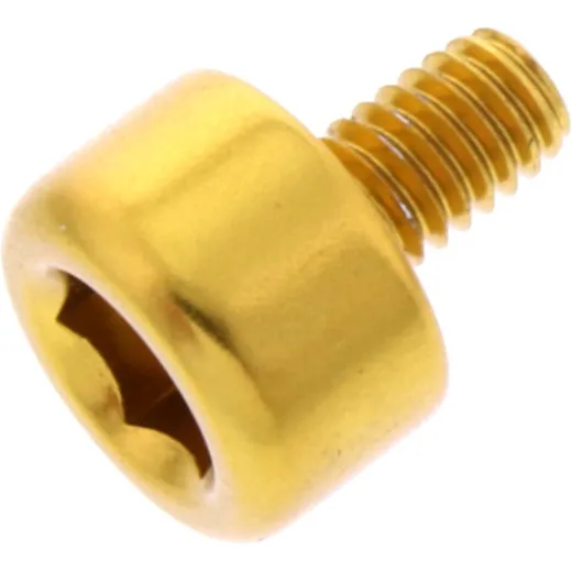 Hex socket cap screw probolt LH465G