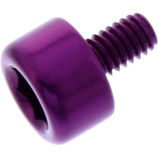 Hex socket cap screw probolt LH465P
