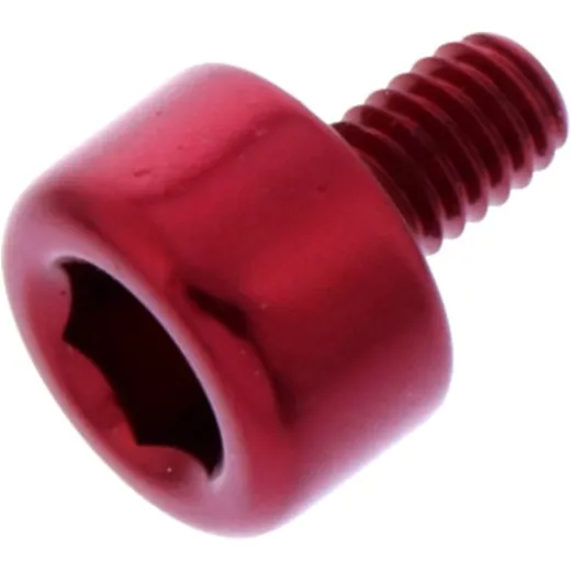 Hex socket cap screw probolt LH465R