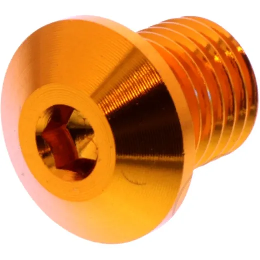 BLANKING PLUG MIRROR THREAD DAYTONA