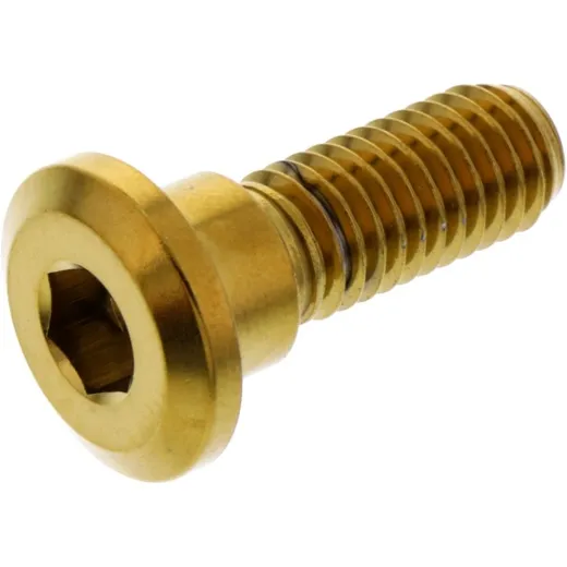 Brake disc screw jmp LSSDISCHONREG