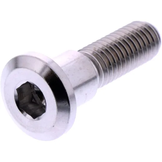 Jmp brake disc bolt LSSDISCTRIFR