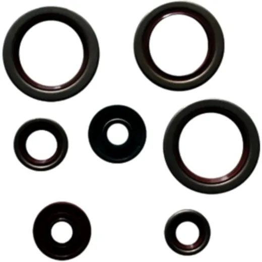Engine oil seal kit P400270400038