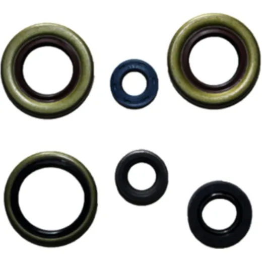 Engine oil seal kit P400270400042