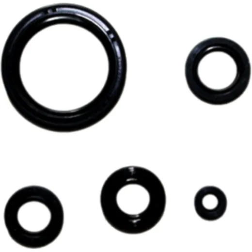 Shaft seal set athena P400210400241