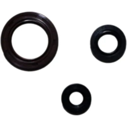 Shaft seal set athena P400250400036