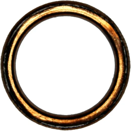 Exhaust gasket S410250012023
