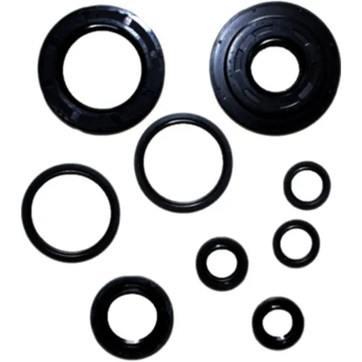 Engine oil seal kit P400210400139