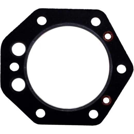 Cylinder head gasket S410190001037