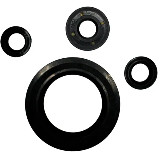 Engine oil seal kit P400250400034
